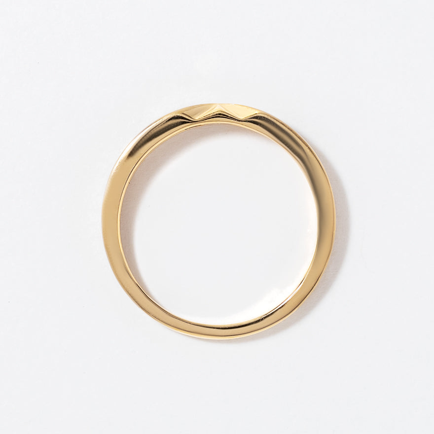 Men's Ring in 10K Yellow Gold