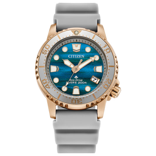 Citizen Eco-Drive Promaster Dive Blue Dial Watch | EO2023-00W