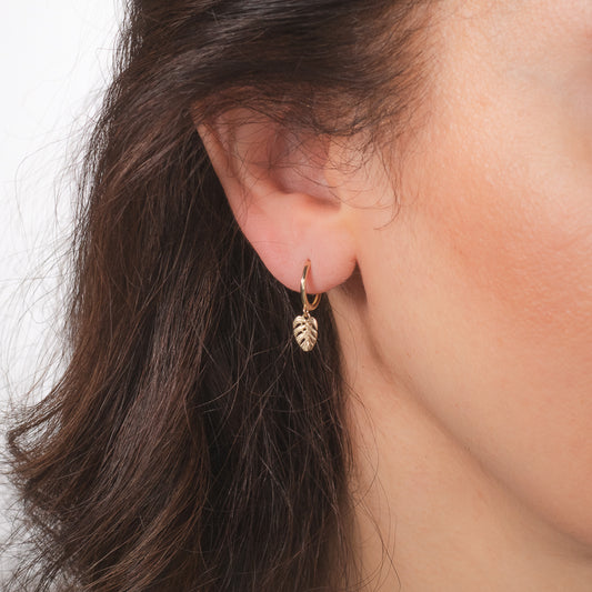 Leaf Hoop Earrings in 10K Yellow Gold