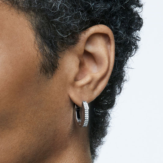 Swarovski Dextera Earrings | 5618307