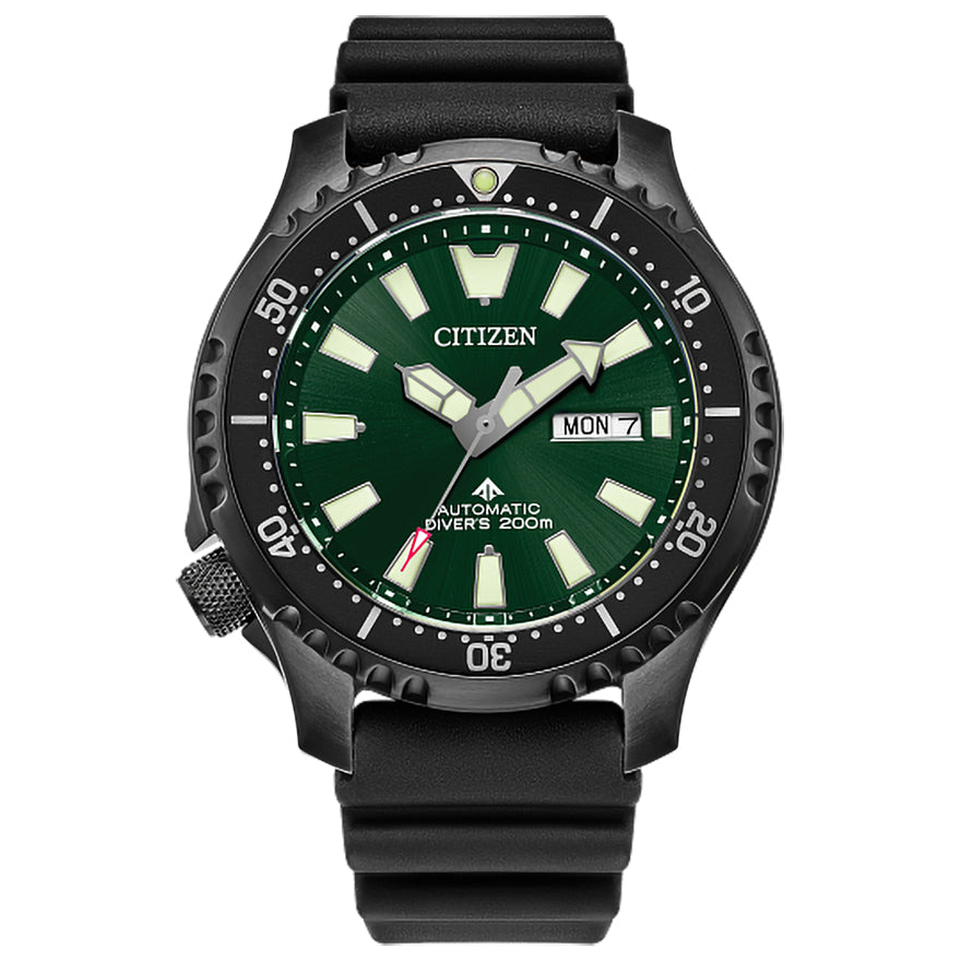 Citizen promaster online ny008