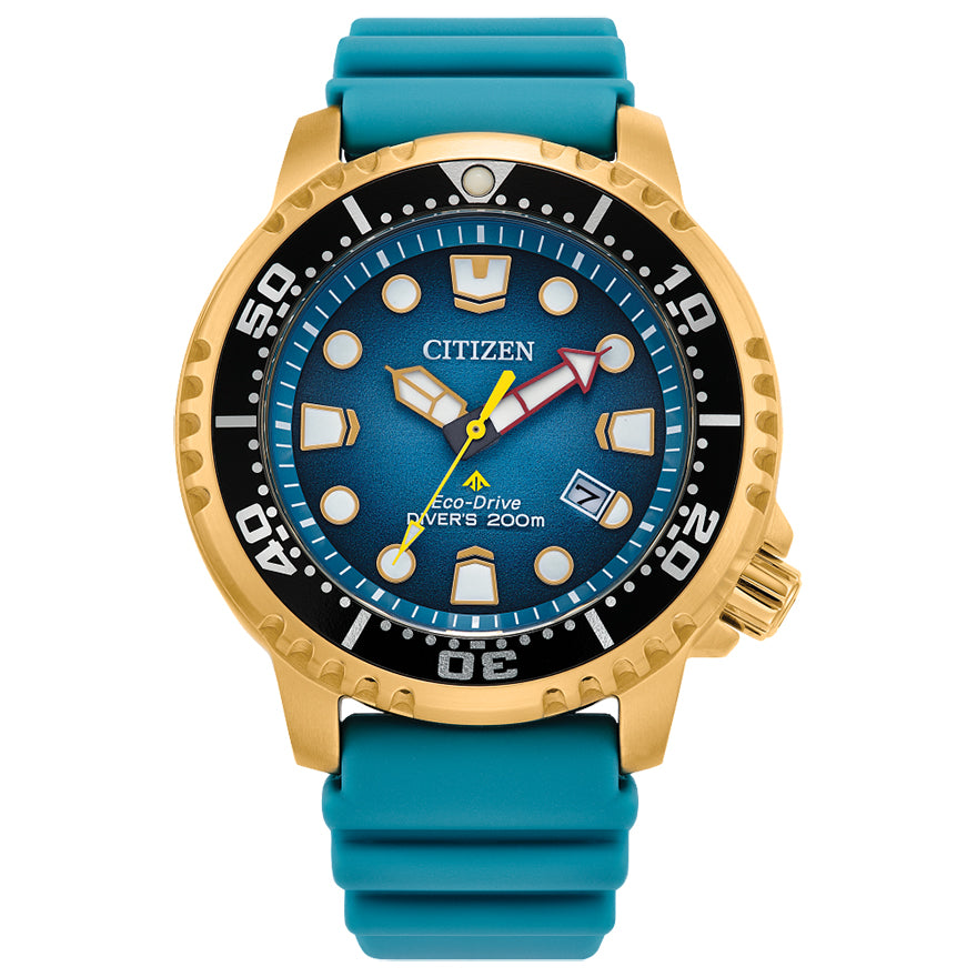 Citizen Eco-Drive Promaster Dive Men's Watch BN0162-02X – Ann