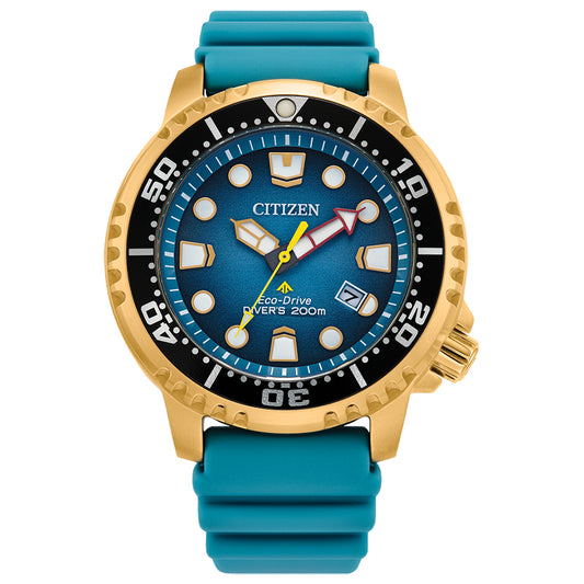 Citizen Eco-Drive Promaster Dive Men's Watch | BN0162-02X