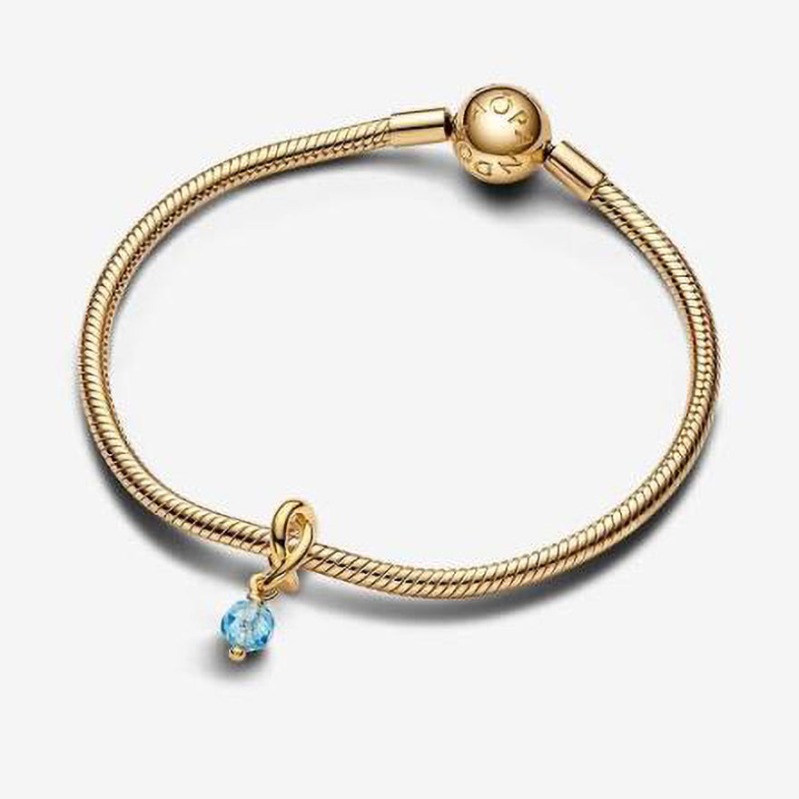 Pandora Eternity Circle Dangle Charm | 763462C03