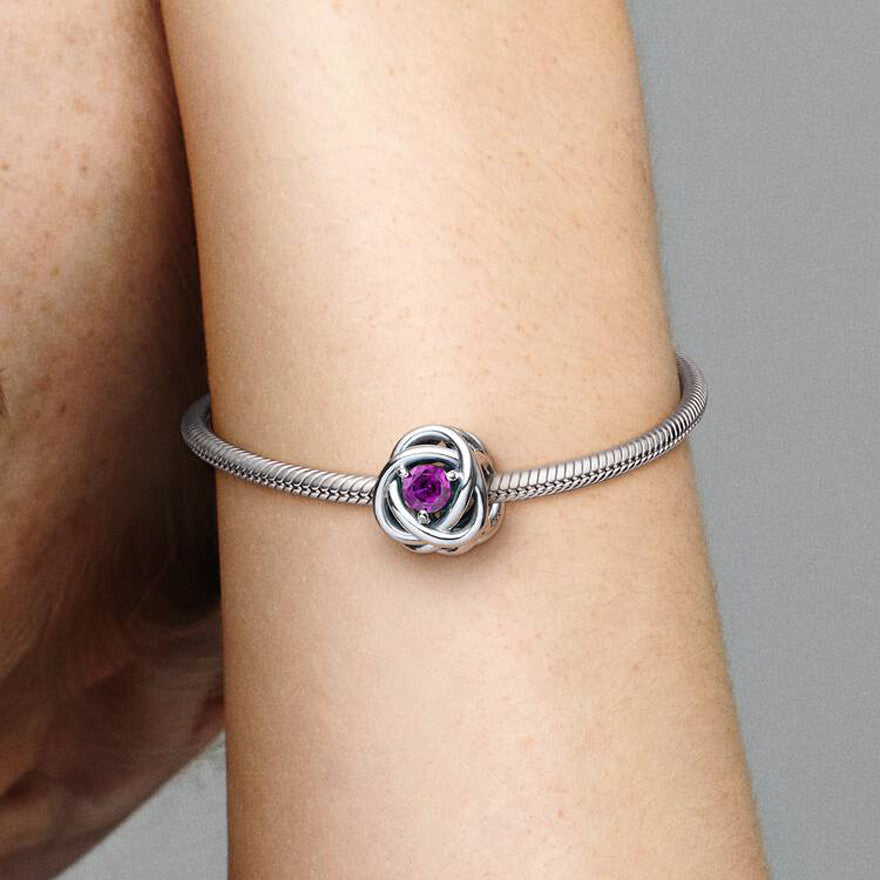Pandora February Purple Eternity Circle Charm | 790065C02