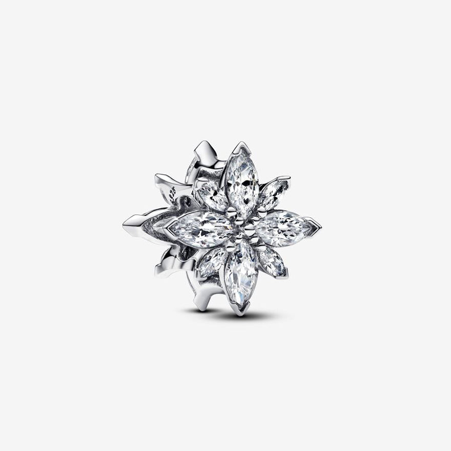 Pandora Sparkling North Star Charm | 793591C01