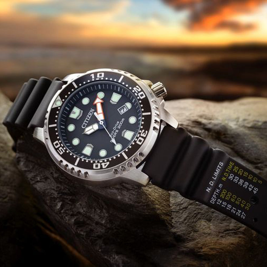 Diver citizen best sale