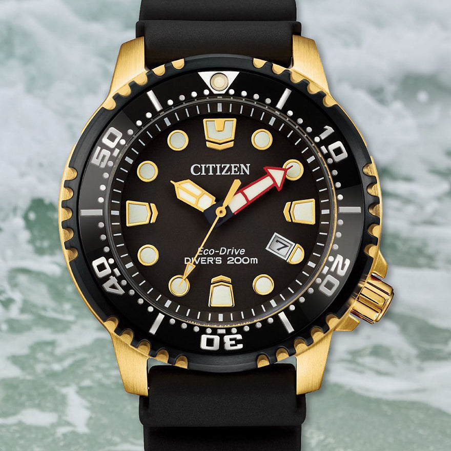 Citizen eco divers on sale watch