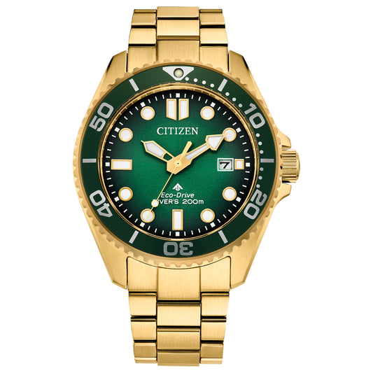 Citizen Eco-Drive Promaster Dive | BN0262-59W