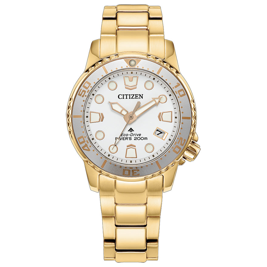 Citizen Eco-Drive Promaster Dive | EO2029-54A