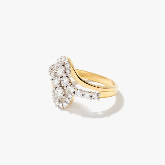 Diamond Cluster Ring in 10K Yellow and White Gold (0.41 ct tw)