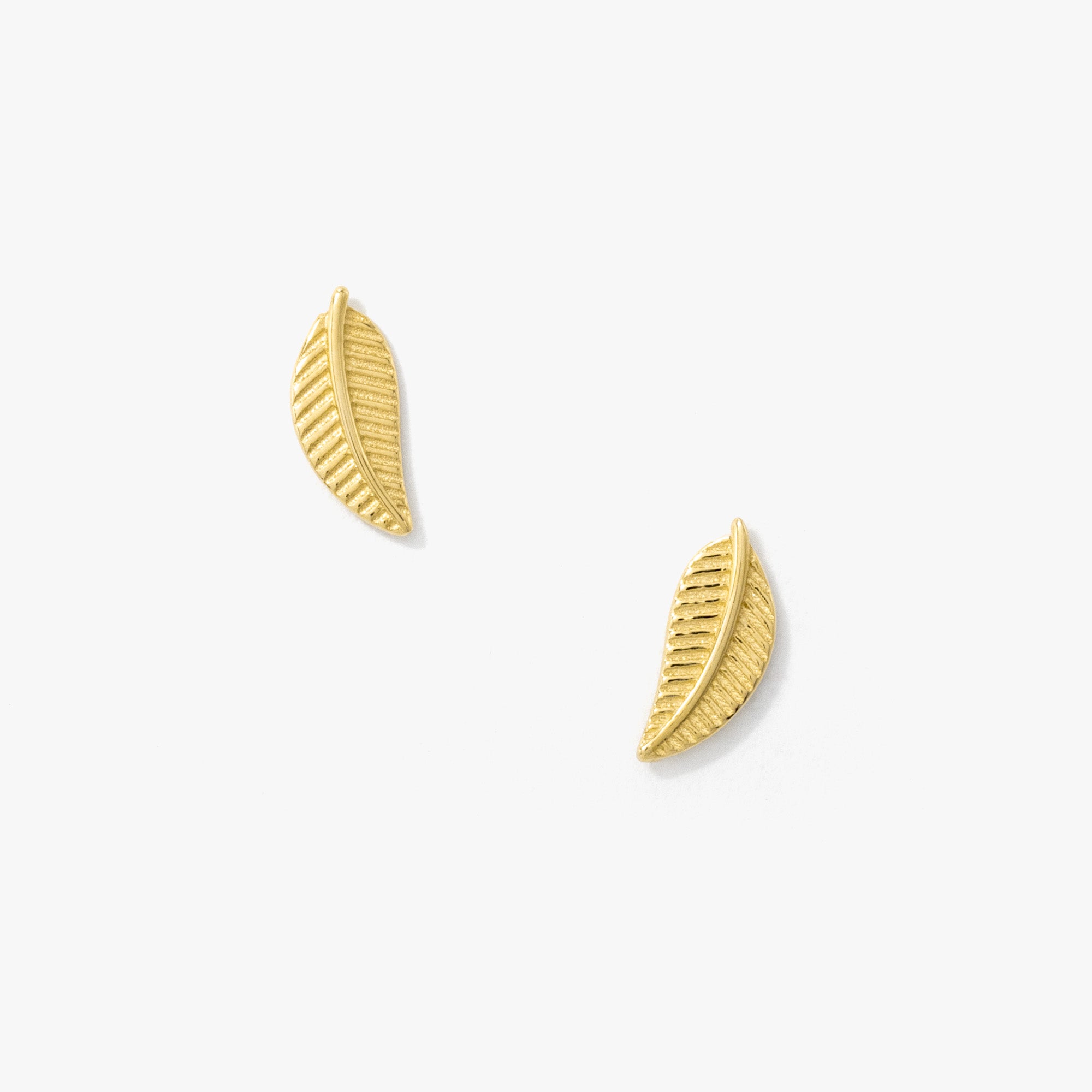 Leaf Stud Earrings in 10K Yellow Gold