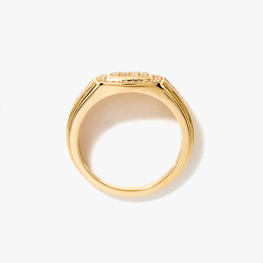 Men's Diamond Ring in 10K Yellow Gold (0.40 ct tw)