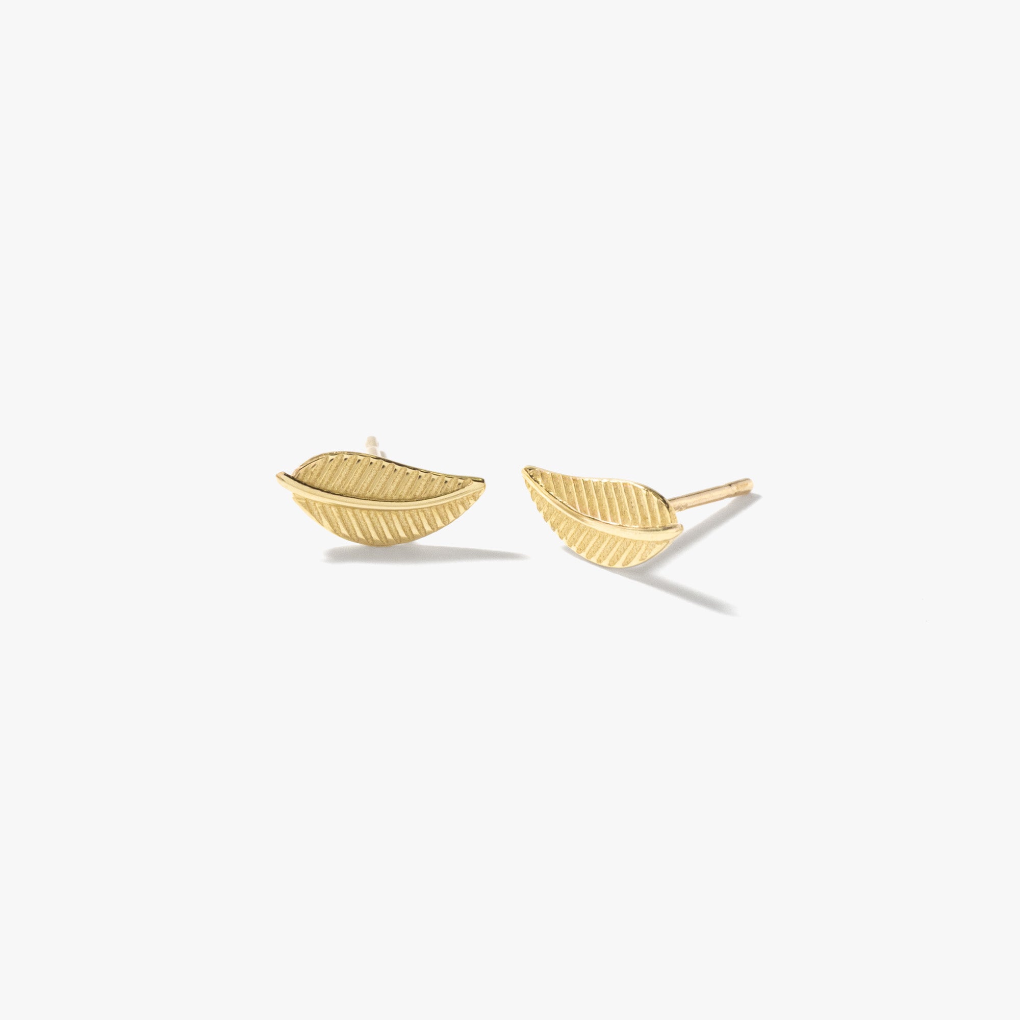 Leaf Stud Earrings in 10K Yellow Gold