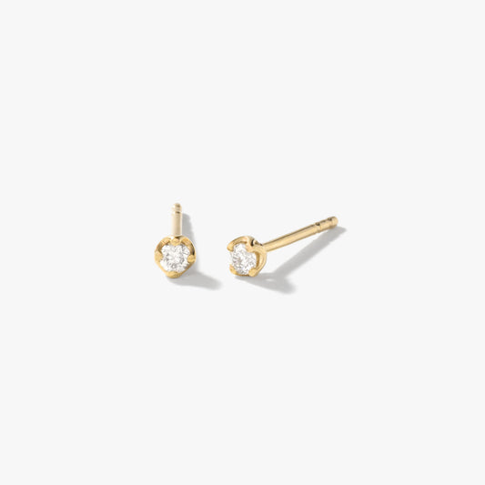 Diamond Stud Earrings in 10K Yellow Gold (0.10 ct tw)