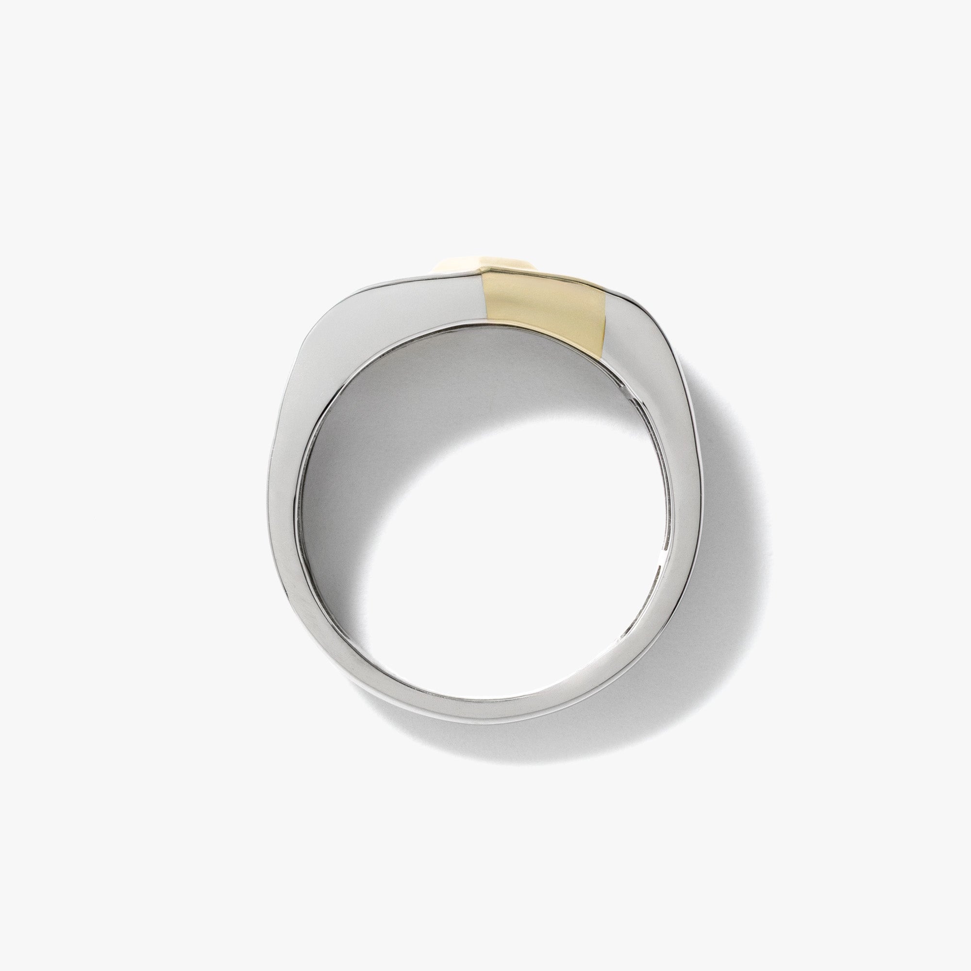 Men's Princess Cut Diamond Ring 10K Yellow and White Gold (0.10 ct