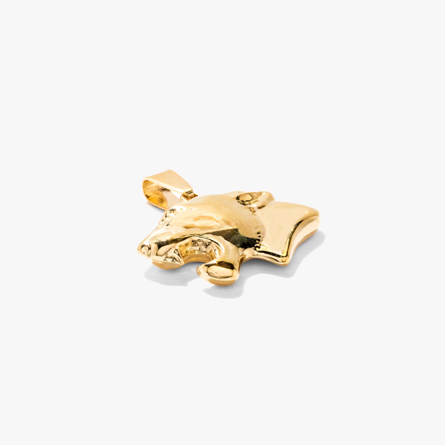 Lion Head Pendant in 10K Yellow Gold