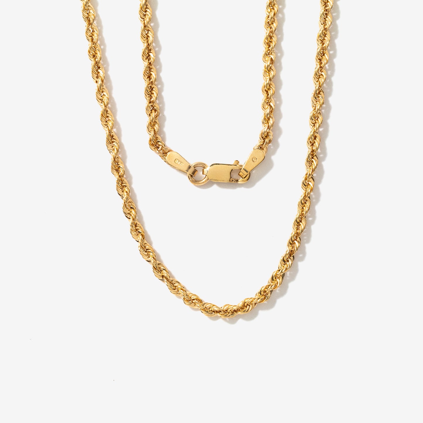 2.5mm Diamond Cut Rope Chain in 10K Yellow Gold (20")