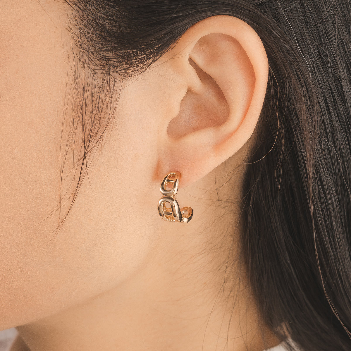 Marine Link Hook Earrings in 10K Yellow Gold