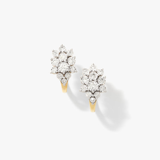 Diamond Cluster Earrings in 10K Yellow and White Gold (0.50 ct tw)