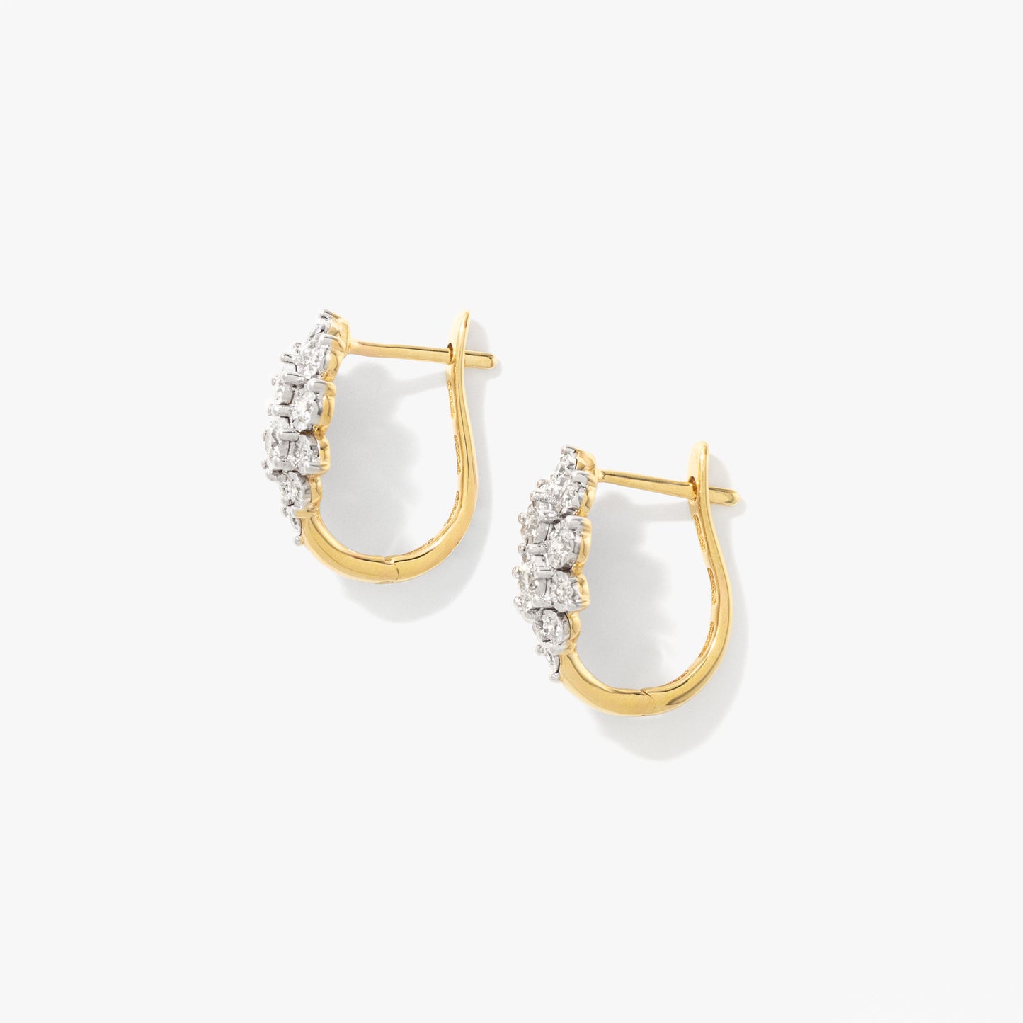 Diamond Cluster Earrings in 10K Yellow and White Gold (0.50 ct tw)