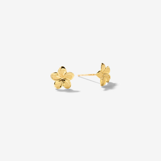 Flower Stud Earrings in 10K Yellow Gold