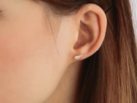 Leaf Stud Earrings in 10K Yellow Gold