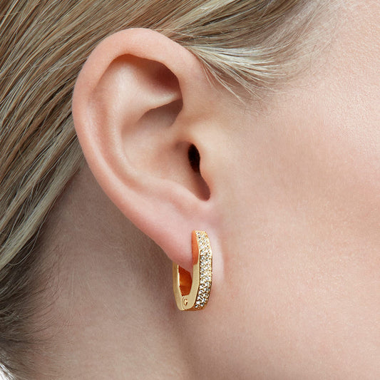 Swarovski Crystal Dextera Hoop Earrings | 5626084