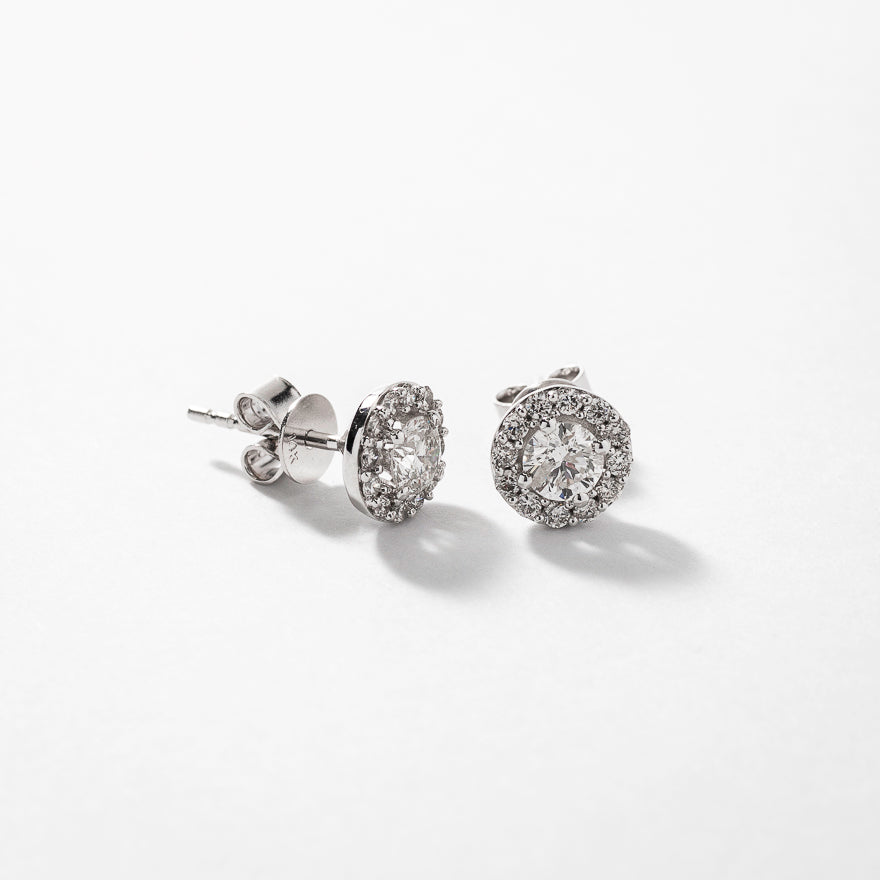 Diamond Stud Earrings in 14K White Gold (0.75 ct tw)