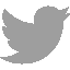 Twitter logo in white